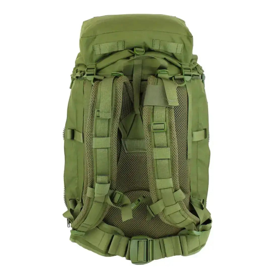 Karrimor SF Predator Patrol 45 PLCE Rucksack Olive Green Rear Back from John Bull Clothing