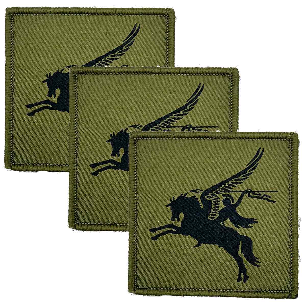 16 Air Assault (Pegasus) Brigade Hook & Loop Backing TRF - John Bull Clothing