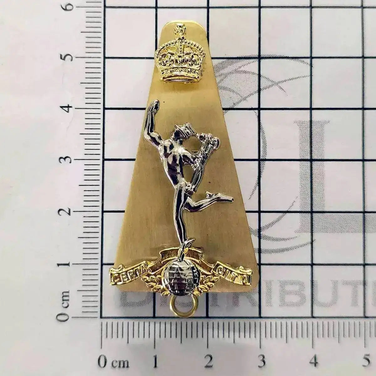 Royal Signals Cap Badge with Kings Tudor Crown displayed on a measurement grid, showcasing its brass and silver design with Mercury and Tudor Crown details.  from  John Bull Clothing 
