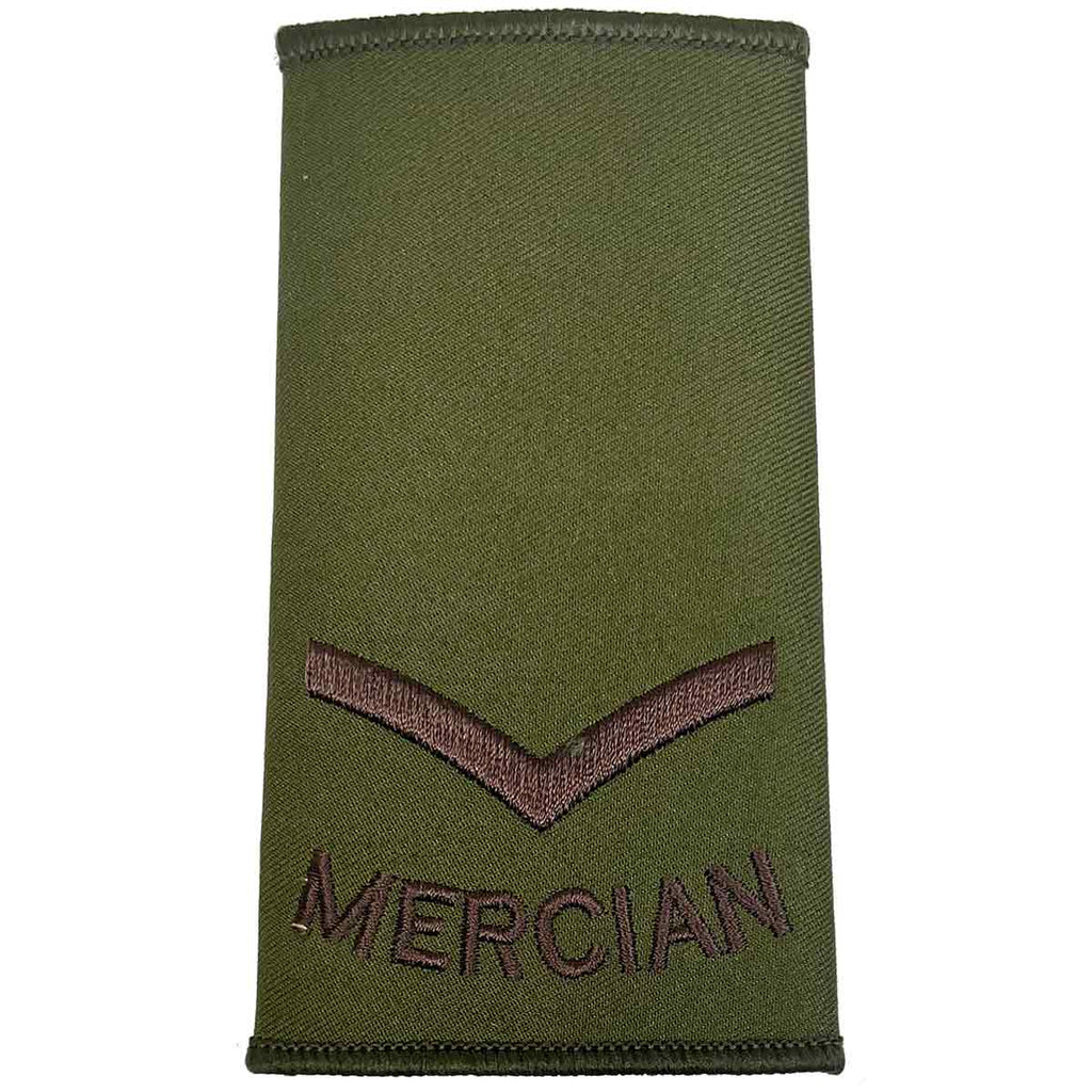 RLC Royal Logistic Corps Hook & Loop TRF 3 Pack - Foto 10